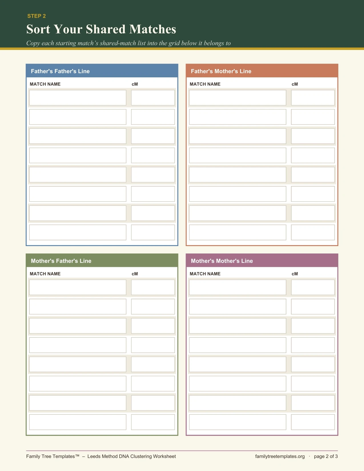 Leeds Method DNA clustering worksheet preview, page 2 colored grids
